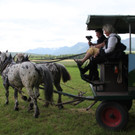 KOE_Irisbl__te Matschels 52_jpg-1338666546