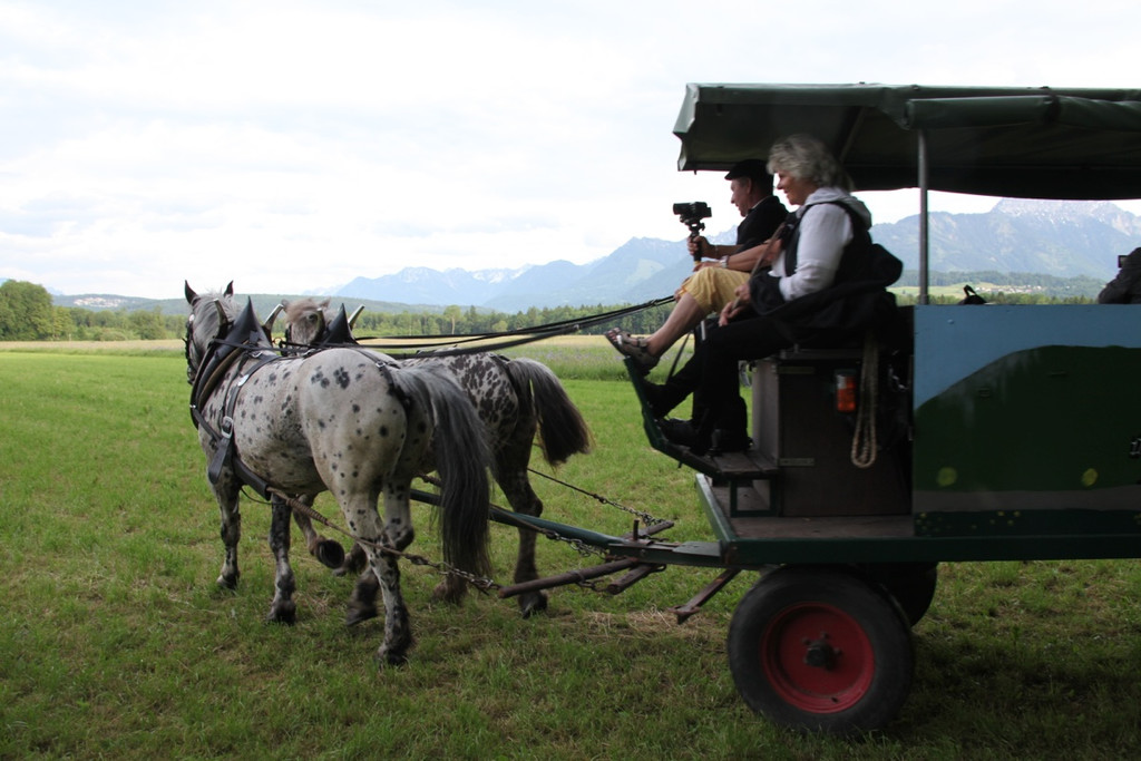 KOE_Irisbl__te Matschels 52_jpg-1338666546