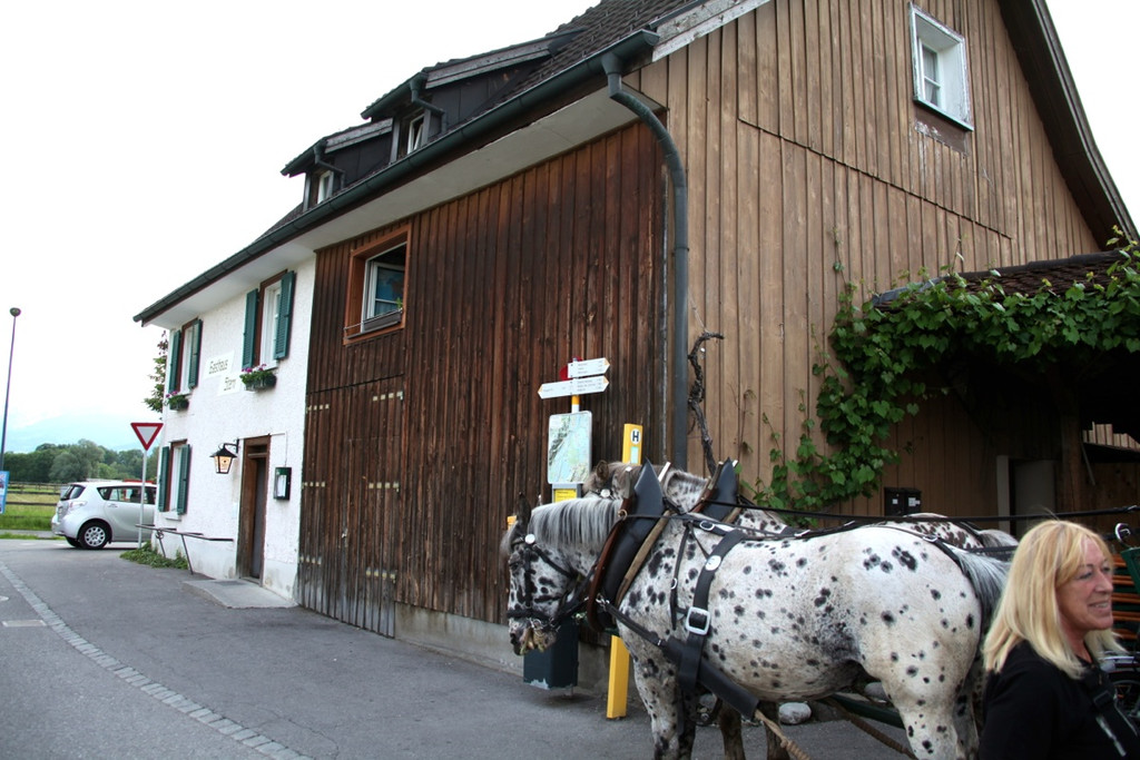 KOE_Irisbl__te Matschels 54_jpg-1338666559