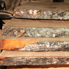 BK_Exkursion SBF Montafon 63_jpg-1338744768