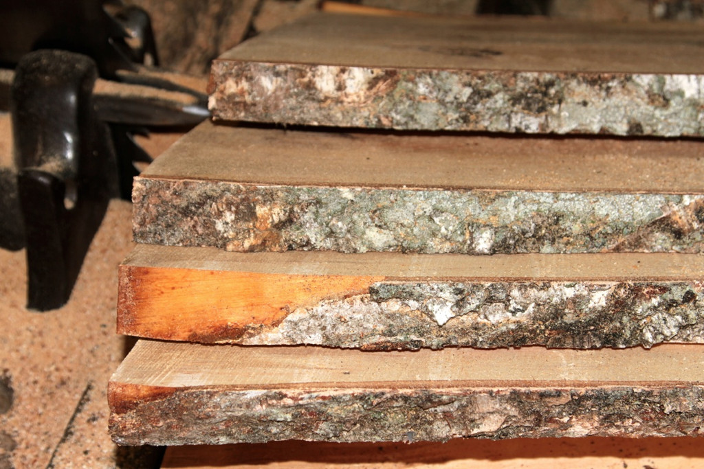 BK_Exkursion SBF Montafon 63_jpg-1338744768