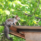 BK_Exkursion SBF Montafon 74_jpg-1338744849