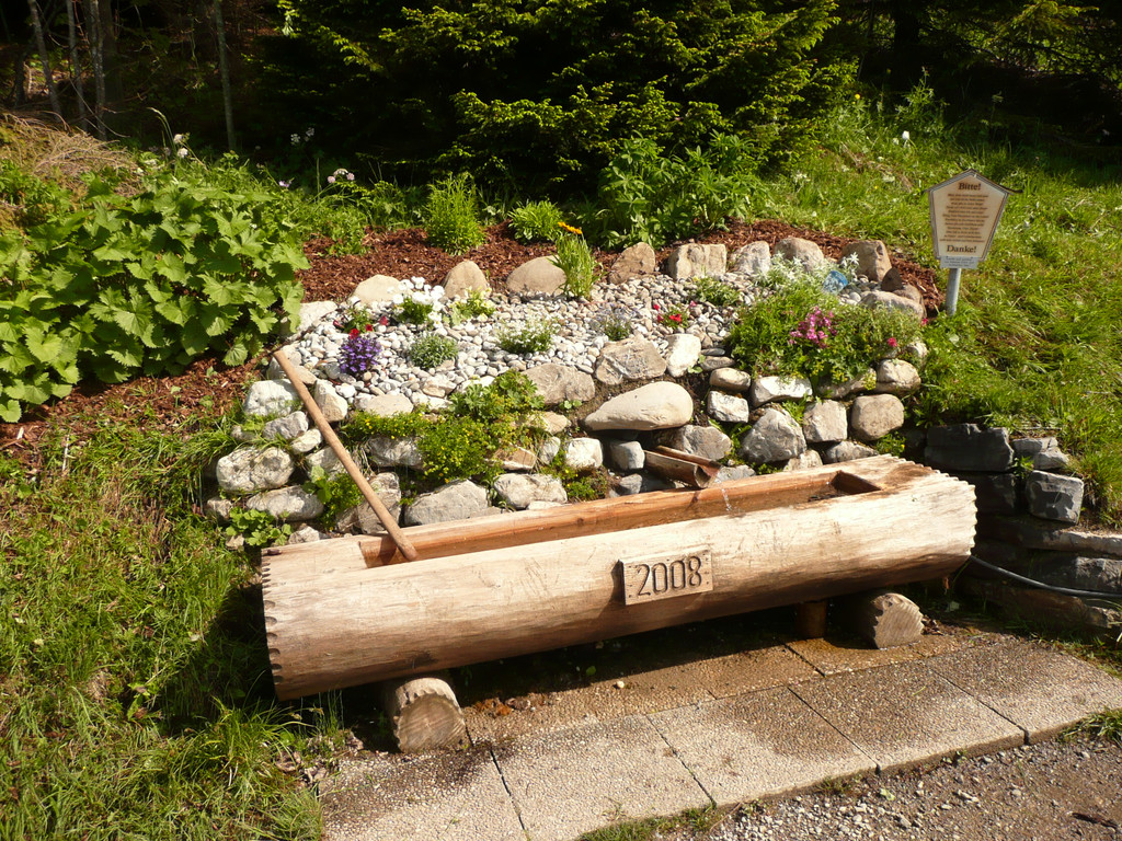 P1090854.JPG