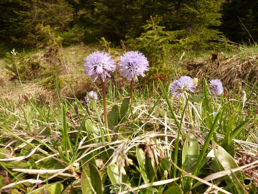 P1090858.JPG