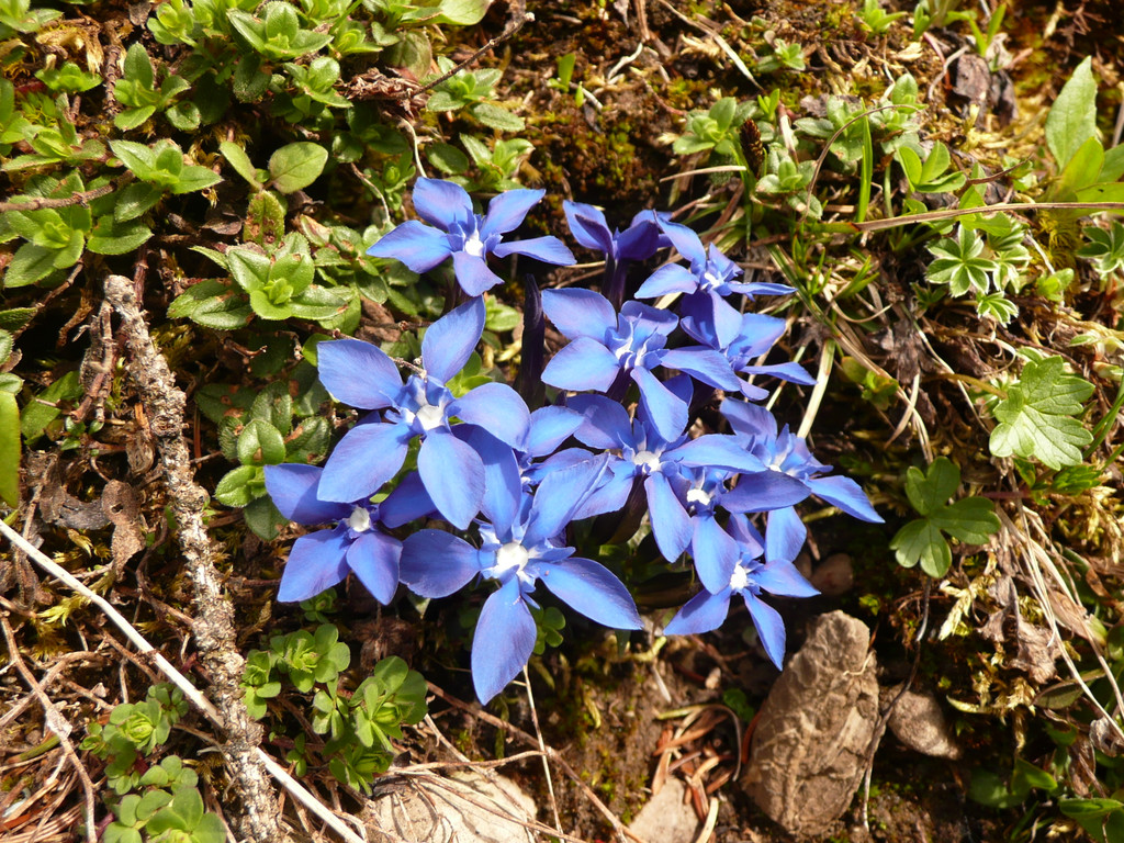 P1090871.JPG