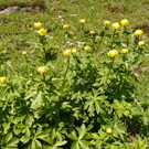 P1090890.JPG