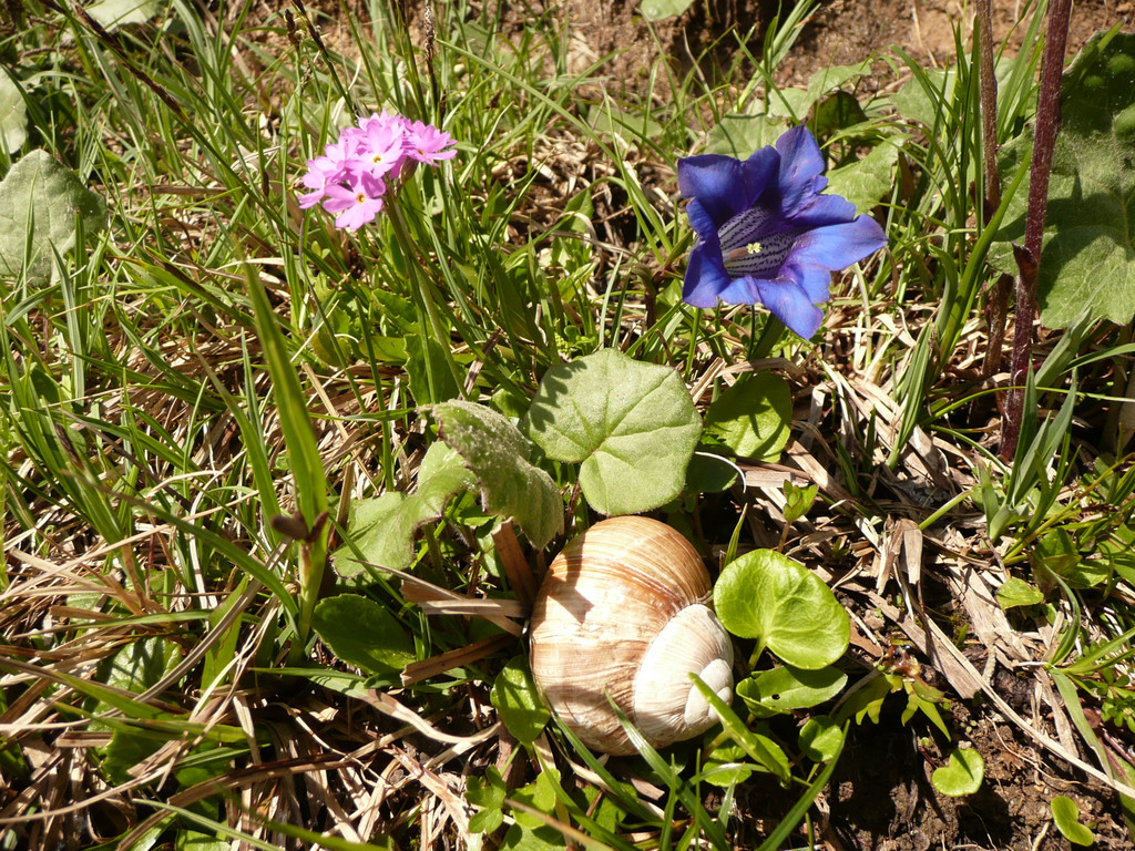 P1090893.JPG