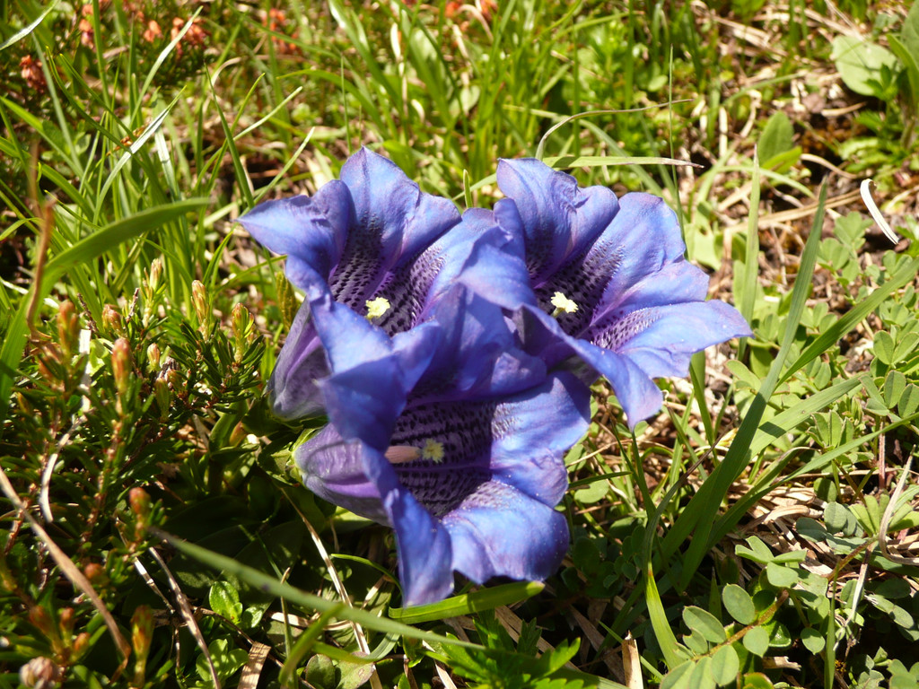 P1090894.JPG