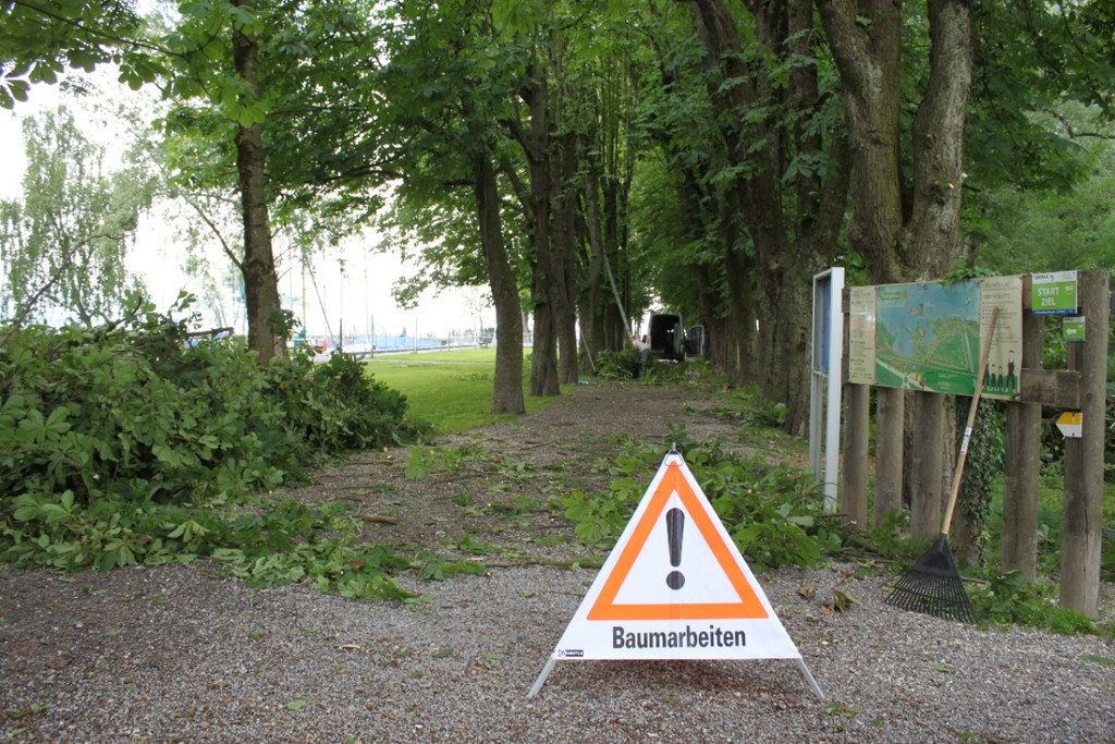 Baumpflege Kastanienallee Schwarzbad Mai 2012 _14__jpg-1338750283
