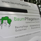 Baumpflege Kastanienallee Schwarzbad Mai 2012 _20__jpg-1338750322