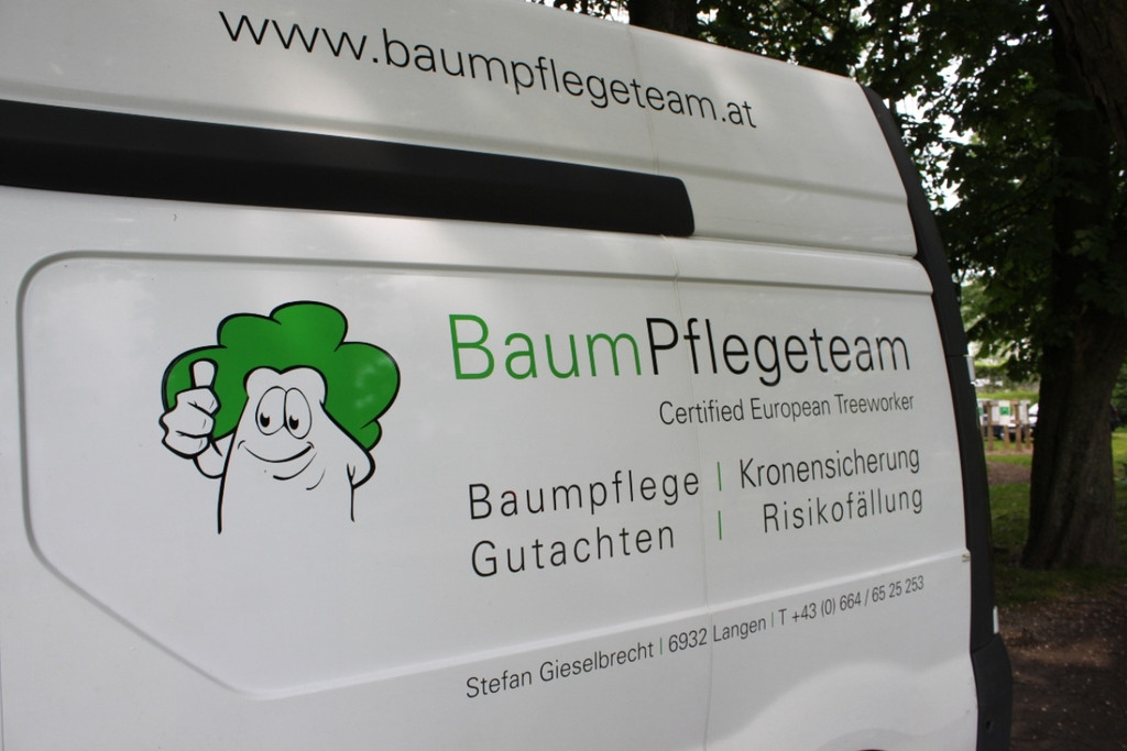 Baumpflege Kastanienallee Schwarzbad Mai 2012 _20__jpg-1338750322
