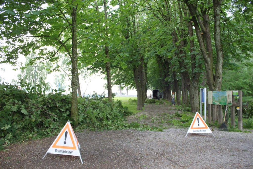 Baumpflege Kastanienallee Schwarzbad Mai 2012 _10__jpg-1338750256
