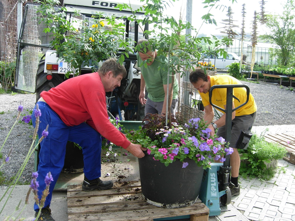 DSCN1176_JPG-1338751915