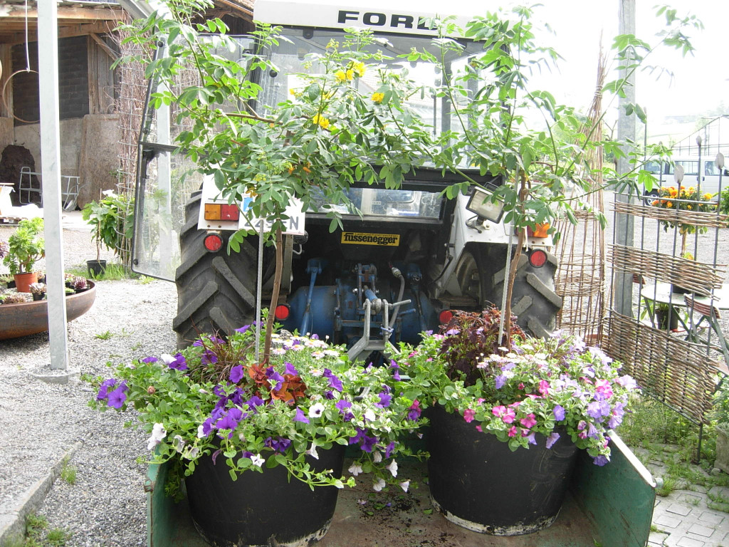 DSCN1184_JPG-1338751946