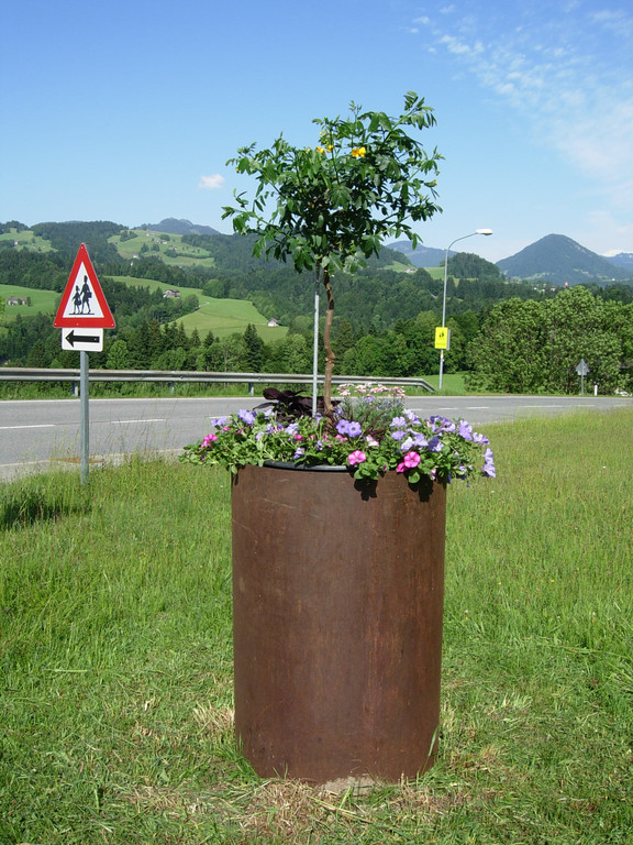 DSCN1193_JPG-1338752034