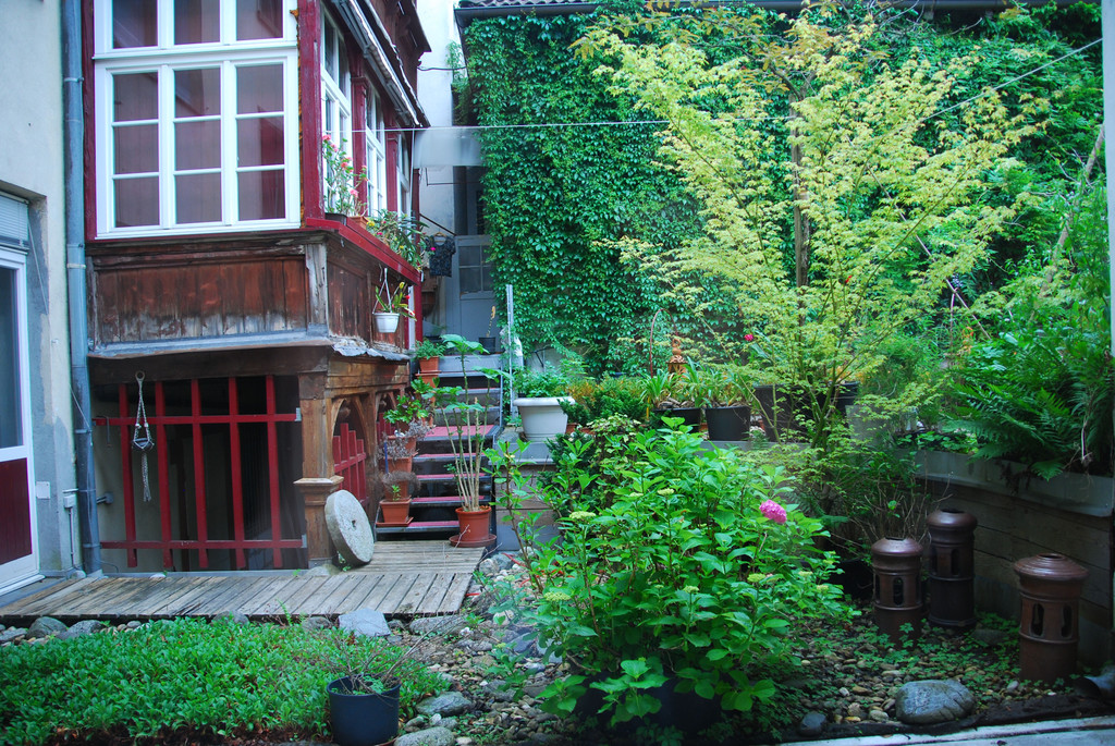 DSC_6105_jpg-1338753988