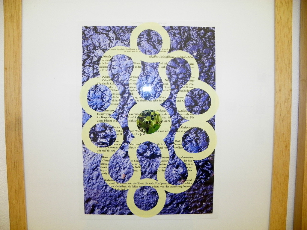 114_7912_JPG-1338759022