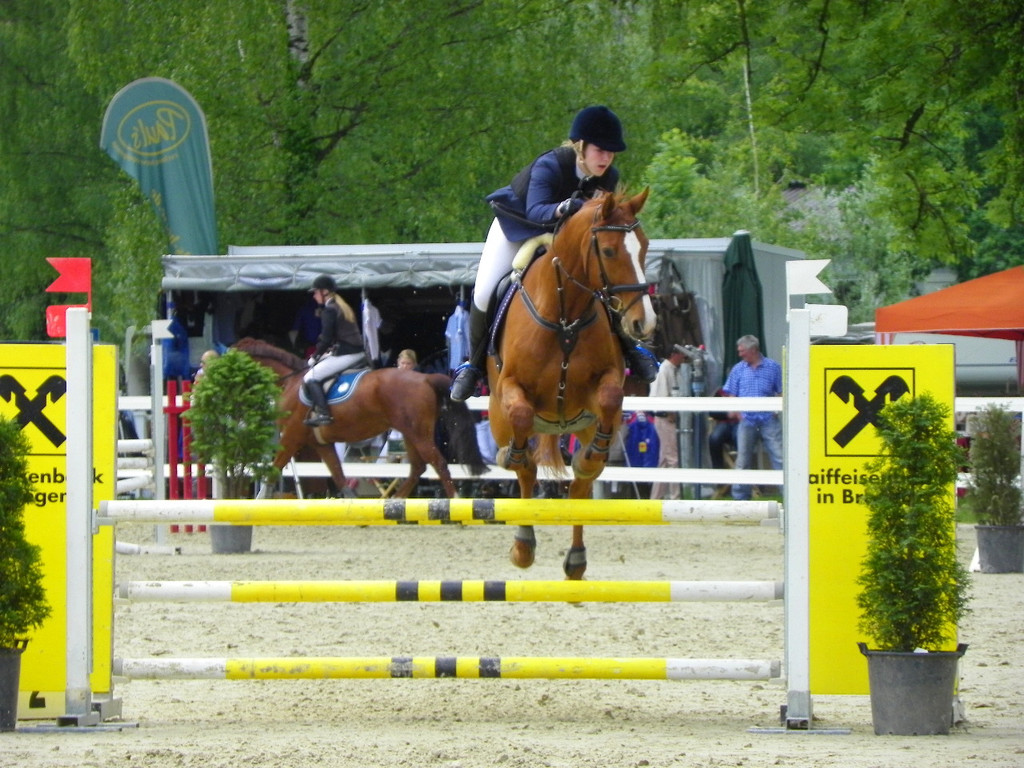 114_8716_JPG-1338759518