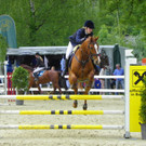 Springturnier 2012