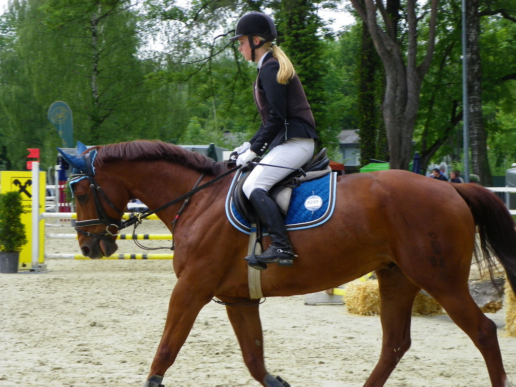 114_8718_JPG-1338759524