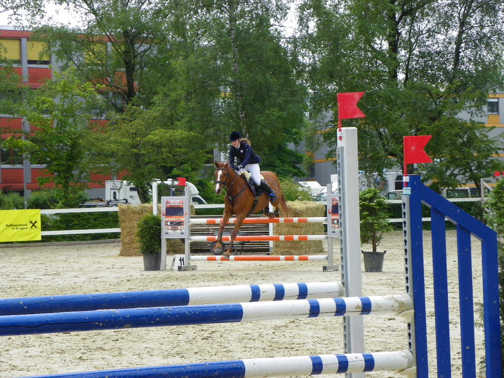 114_8719_JPG-1338759530