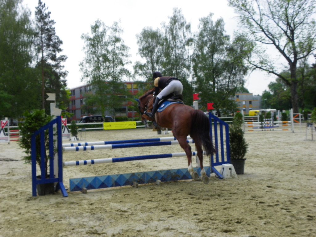 114_8721_JPG-1338759546