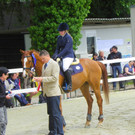 114_8740_JPG-1338759552