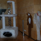 DSC_0057-1.jpg
