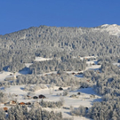 _DSC00410016.JPG