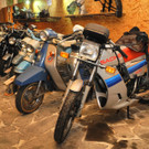 DSCN4548_JPG-1338792260