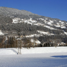 _DSC01480004.JPG