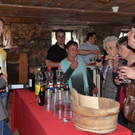Konzert Alldra