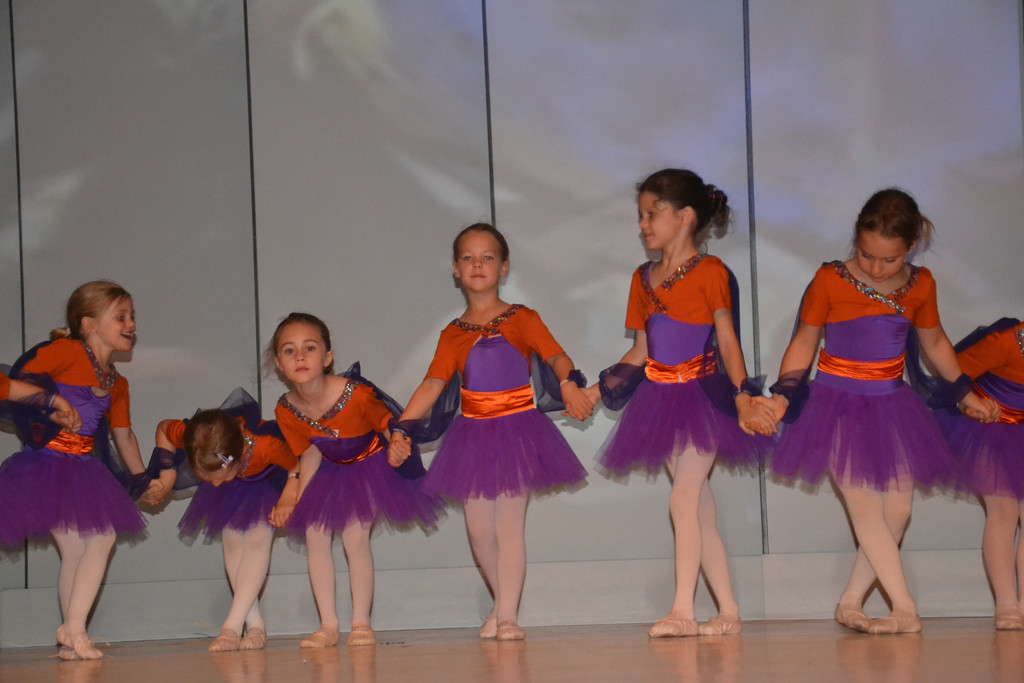 DSC_0960_JPG-1338796002
