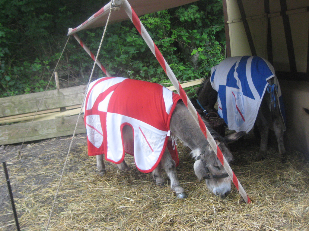 IMG_5531_JPG-1338796170