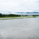Rheinhochwasser 04_06_2012 668_jpg-1338799349