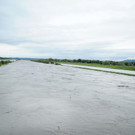 Rheinhochwasser 04_06_2012 671_jpg-1338799386