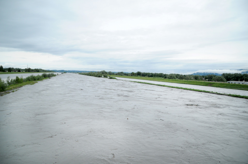 Rheinhochwasser 04_06_2012 671_jpg-1338799386