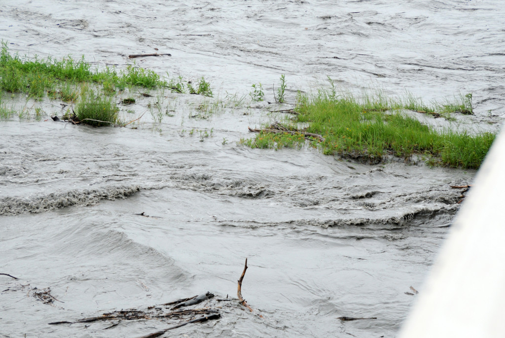 Rheinhochwasser 04_06_2012 675_jpg-1338799427