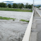 Rheinhochwasser 04_06_2012 676_jpg-1338799453