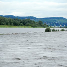 Rheinhochwasser 04_06_2012 677_jpg-1338799475