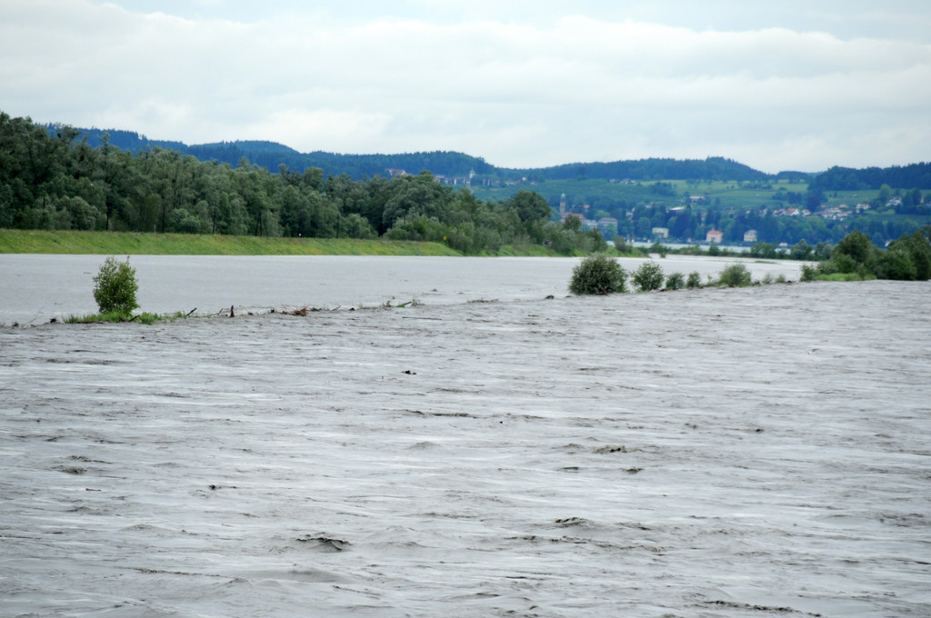 Rheinhochwasser 04_06_2012 677_jpg-1338799475