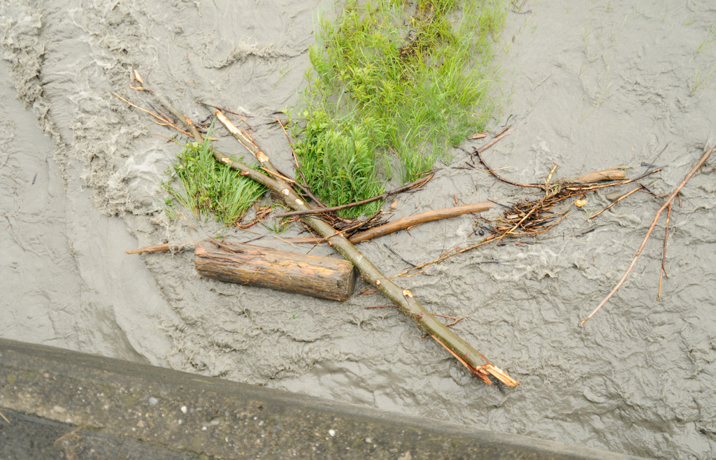 Rheinhochwasser 04_06_2012 686_jpg-1338799575