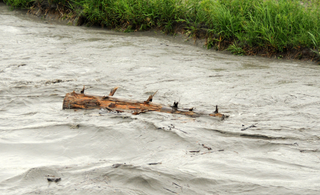 Rheinhochwasser 04_06_2012 687_jpg-1338799598