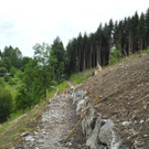 DSCN4970_JPG-1338801904