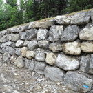 DSCN4977_JPG-1338802055