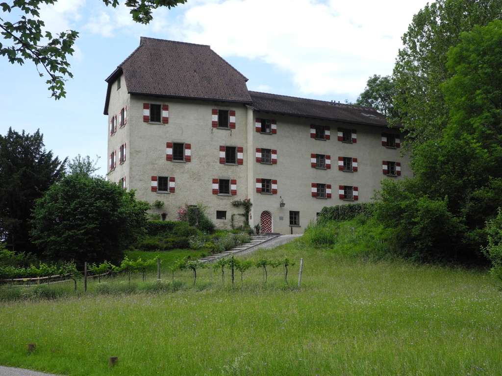 DSCN4987_JPG-1338802326