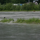 IMG_6562.JPG