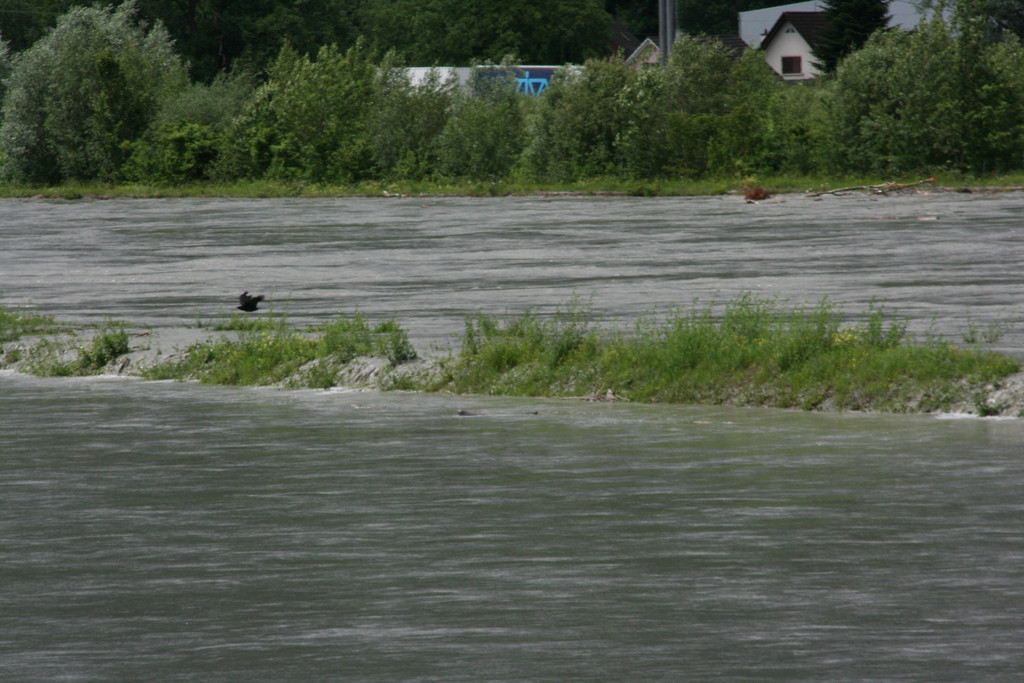 IMG_6562.JPG