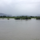 Rhein führt Hochwasser