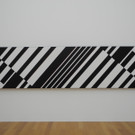 DSCN5243_JPG-1338816939